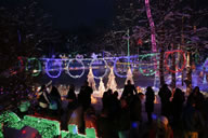  LAGRANGEVILLE, N.Y., USA -- Tim Gay, along with his wife, Grace, and three children, Emily, Daniel and John, illuminated 601,736 lights to beat the existing Guinness World Records' record; the holiday light display, which spans two acres and takes roughly two months to build, is set to more than 200 songs, including top-40 hits and holiday favorites and setsthe new world record for the Most Lights on a Residential Property, according to the World Record Academy: www.worldrecordacademy.com/.