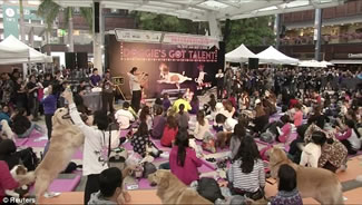 The world's biggest dog yoga class was led by doga teacher Suzette Ackerman. For half an hour, 270 owners practiced by massaging, twisting, and stretching their four-legged friends in a variety of yoga poses, along with the odd bark, of course.