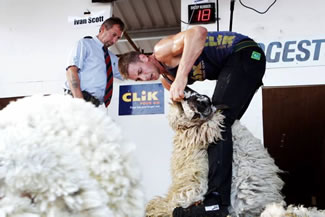 A new world record has been set by an Irish man who sheared 867 strong wool lambs in nine hours. Ivan Scott, from Kilmacrennan in County Donegal, beat New Zealander Don King's 2007 record by just one lamb. Mr Scott averaged 96.33 lambs every hour, or one every 37.37 seconds.
