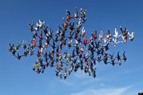 most skydivers in a vertical formation 