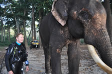 scuba diving in the most countries world record set by Karin Sinniger