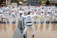 Largest taekwondo display: Taekwondo UK breaks world record