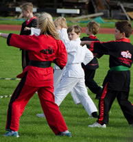 Most people performing a kata: Young Gloves Karate breaks Guinness world record